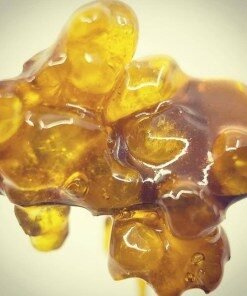 Extracts