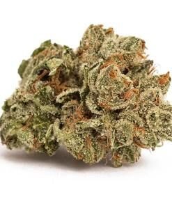 Sativa Strains