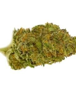 Indica Weed