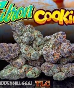 Jungle Boys Citron Cookies