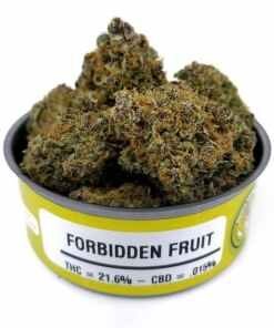 Space Monkey Forbidden Fruit