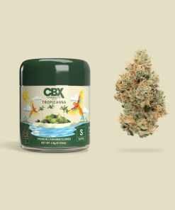 Cannabiotix Tropicanna