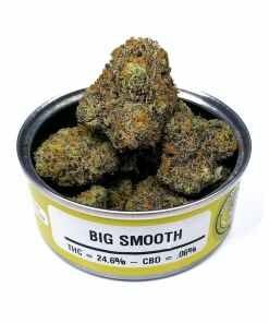 Space Monkey Big Smooth