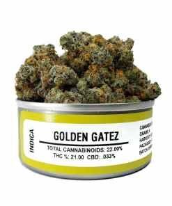 Space Monkey Golden Gatez