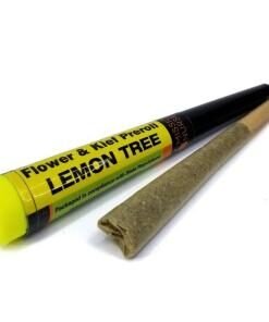 Lemon Tree Space Monkey Meds