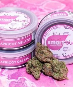 Apricot Gelato SmartBud