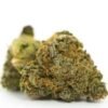 Gorilla Glue Strain