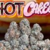 Jungle Boys Hot Cakes