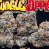 Jungle Boys Jungle Apples