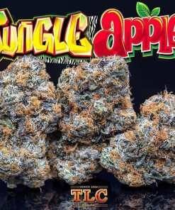 Jungle Boys Jungle Apples