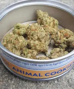 Animal Cookies SmartBud