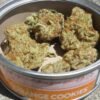 Orange Cookies SmartBud