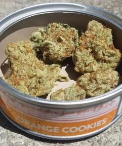 Orange Cookies SmartBud