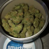 Double Dream SmartBud