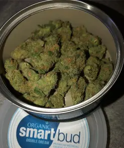 Double Dream SmartBud