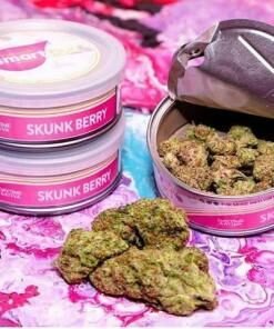 Skunk Berry SmartBud