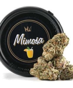 West Coast Cure Mimosa