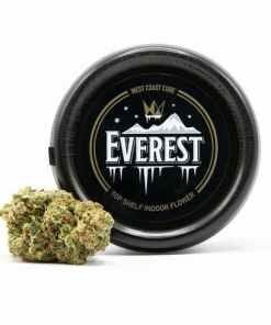 West Coast Cure Everest