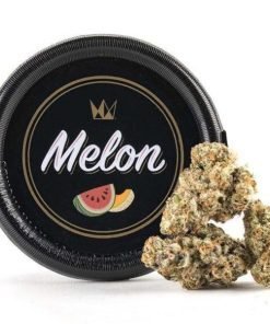 West Coast Cure Melon