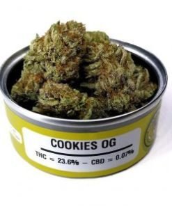 Space Monkey cookies og Strain