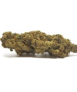 Medibud Strain